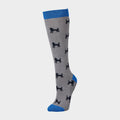 Women's Patterned Riding Socks Cobalt/Dogs