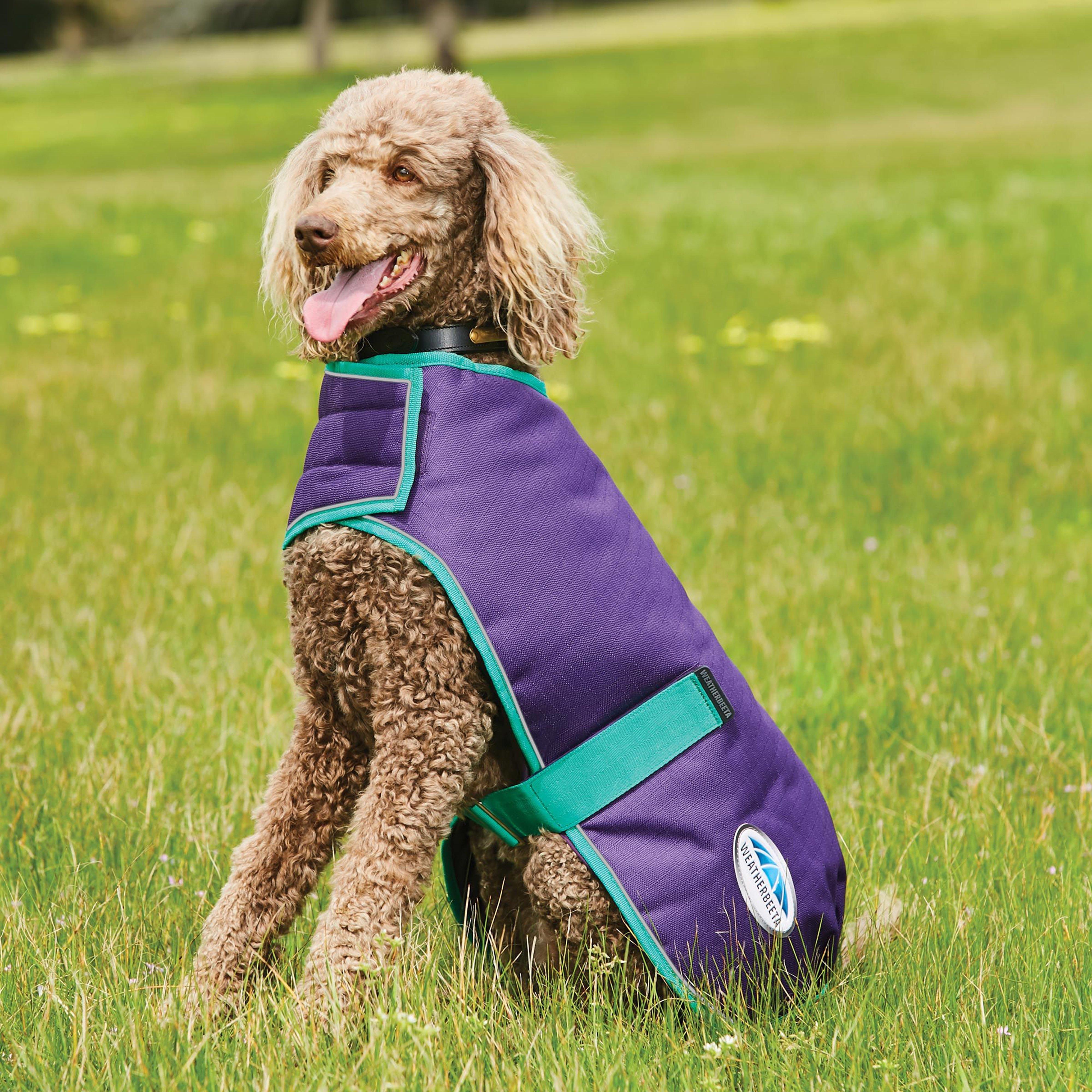 Comfitec Premier Free Parka Deluxe Dog Coat Medium