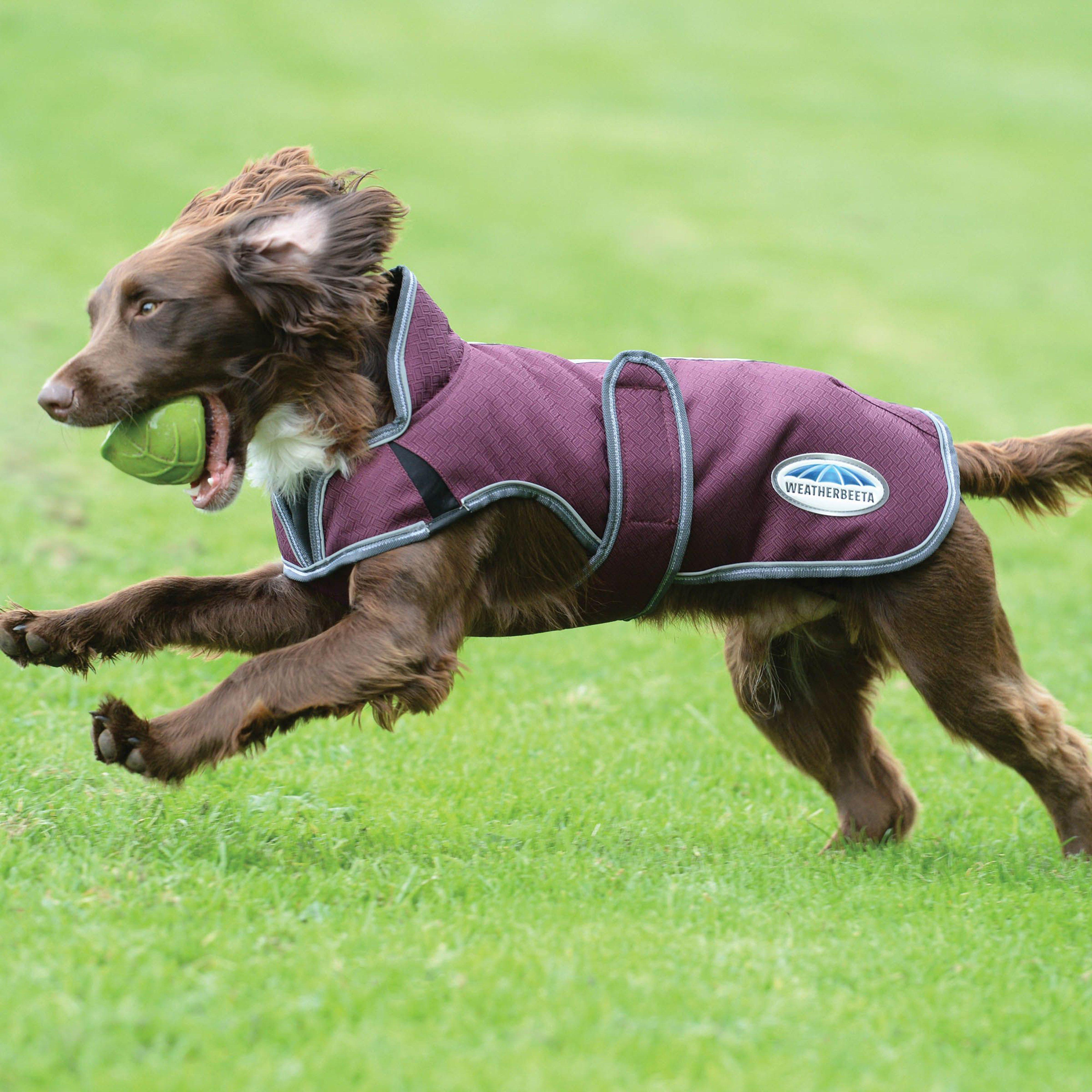 Comfitec Premier Free Parka Deluxe Dog Coat Medium