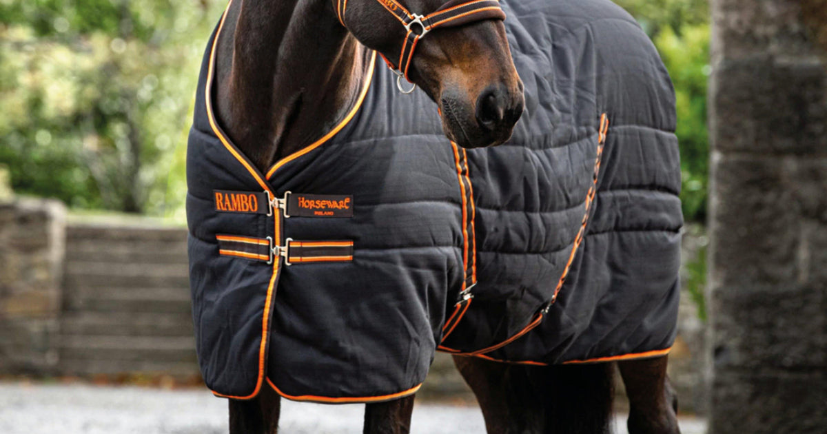 Black Rambo Stable Rug - 200g – GO Outdoors