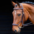 Salisbury Brampton Bridle Australian Nut