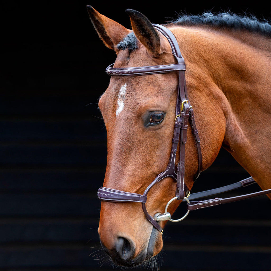 Salisbury Brampton Bridle Australian Nut