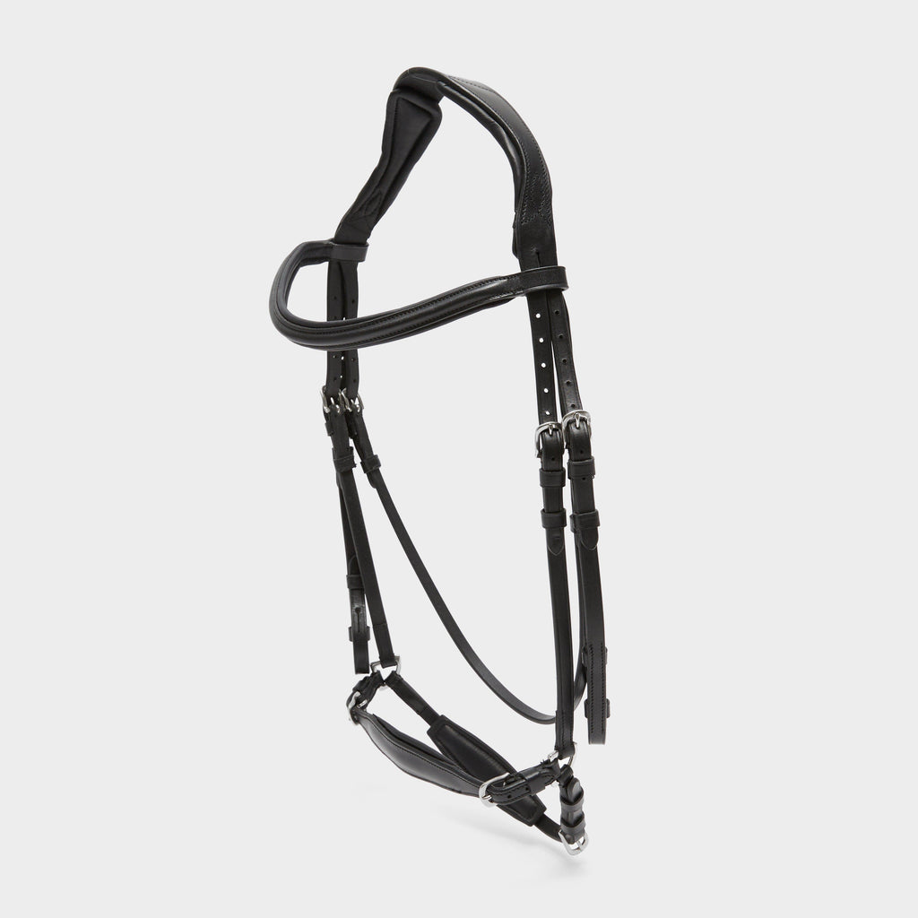 Drop Noseband Bridle