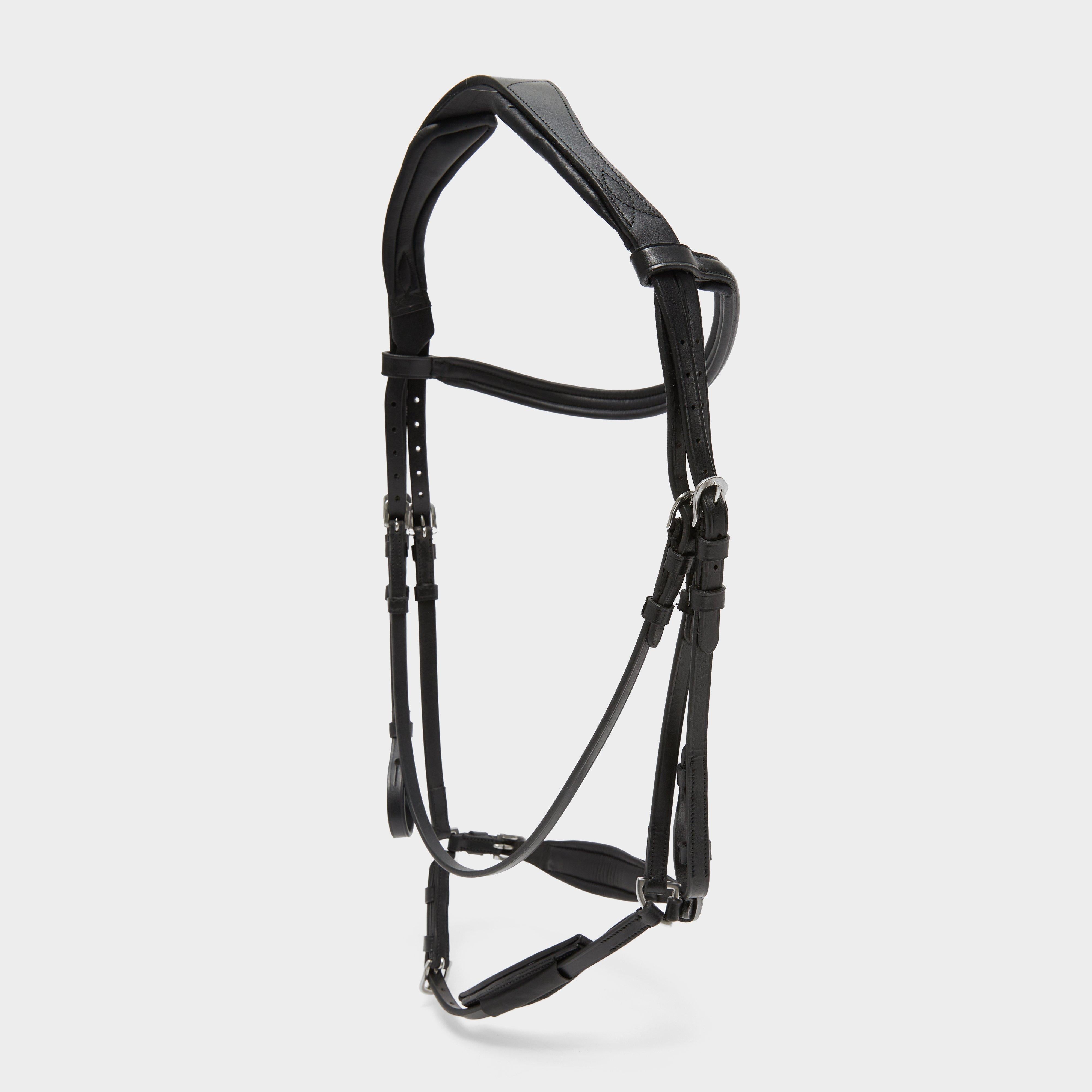 Drop Noseband Bridle