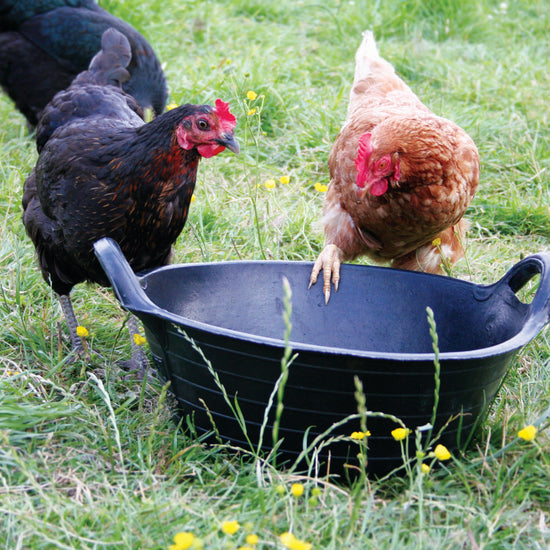 Tyre Rubber Feed Skips