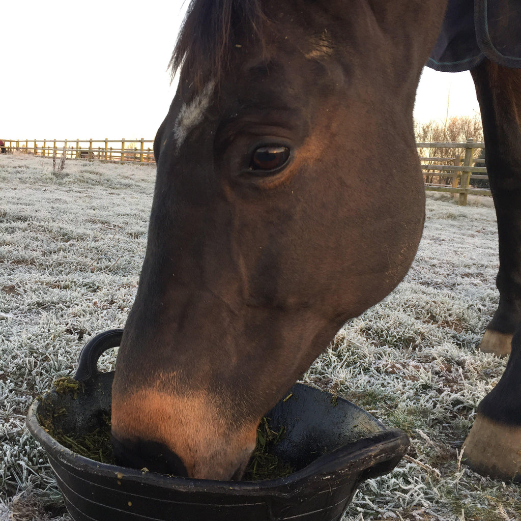 Tyre Rubber Feed Skips