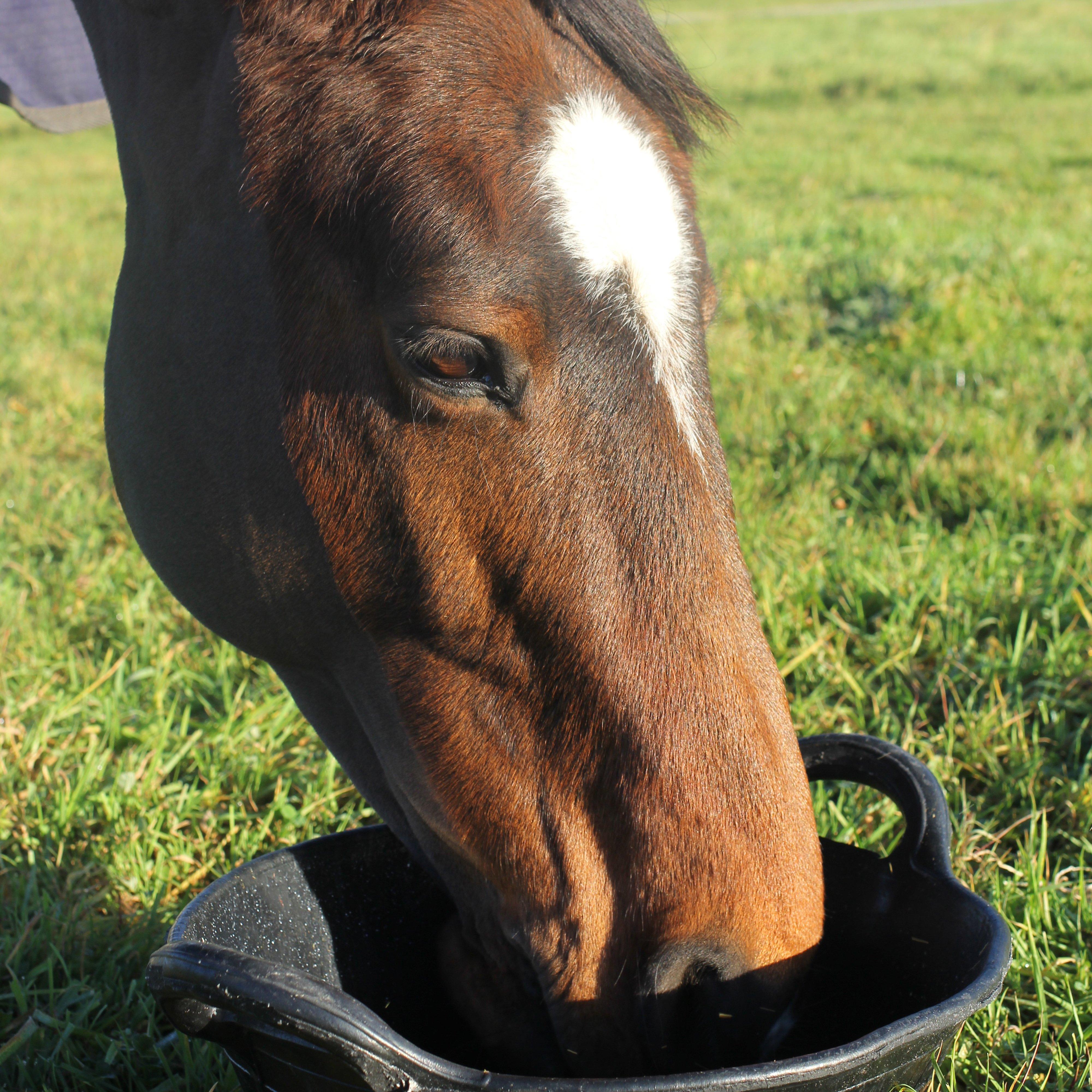 Tyre Rubber Feed Skips