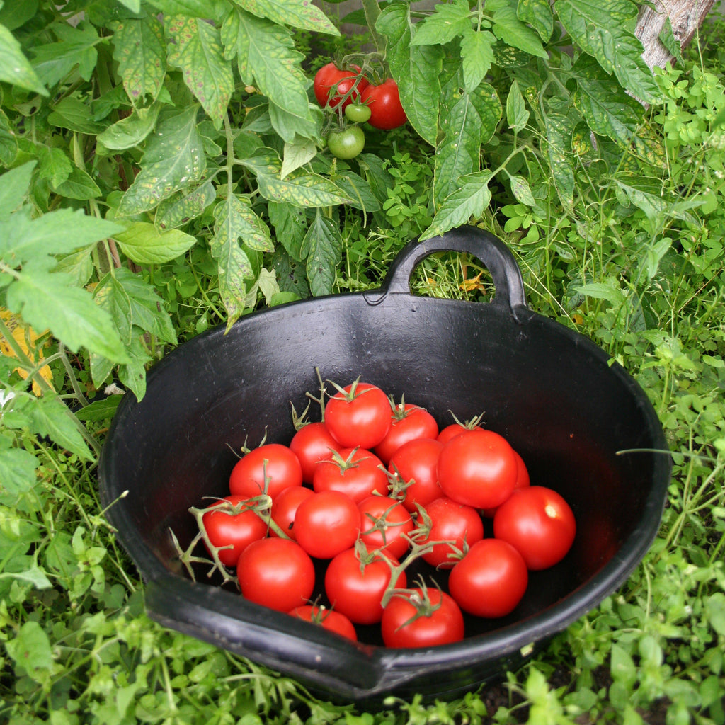 Tyre Rubber Feed Skips