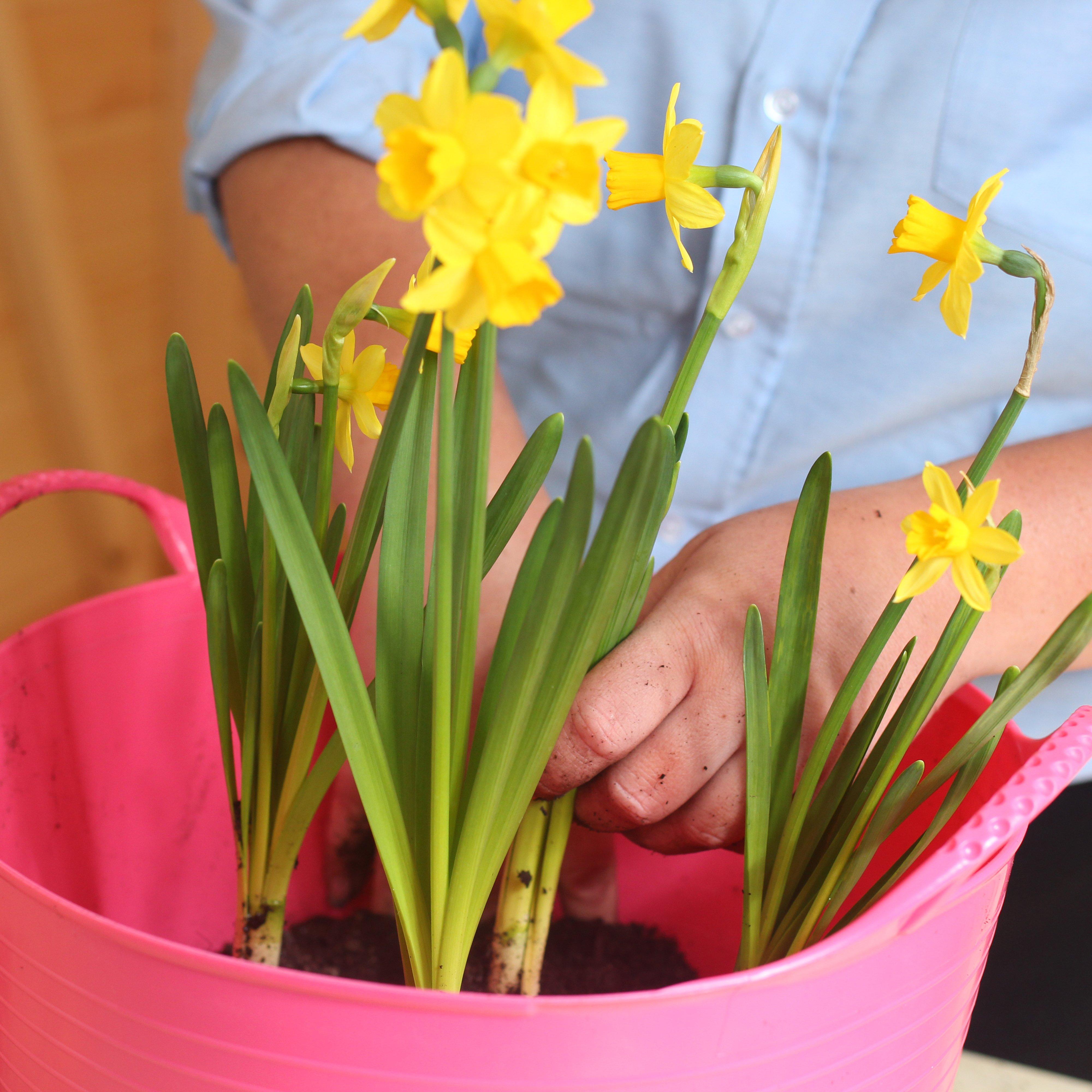 Flexible Tub (Small)