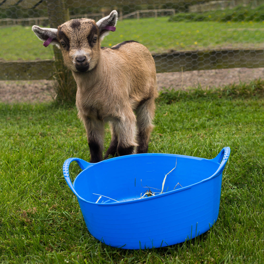 Flexible Shallow Tub (Small)