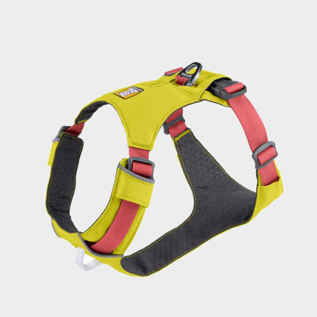 Hi Light Harness