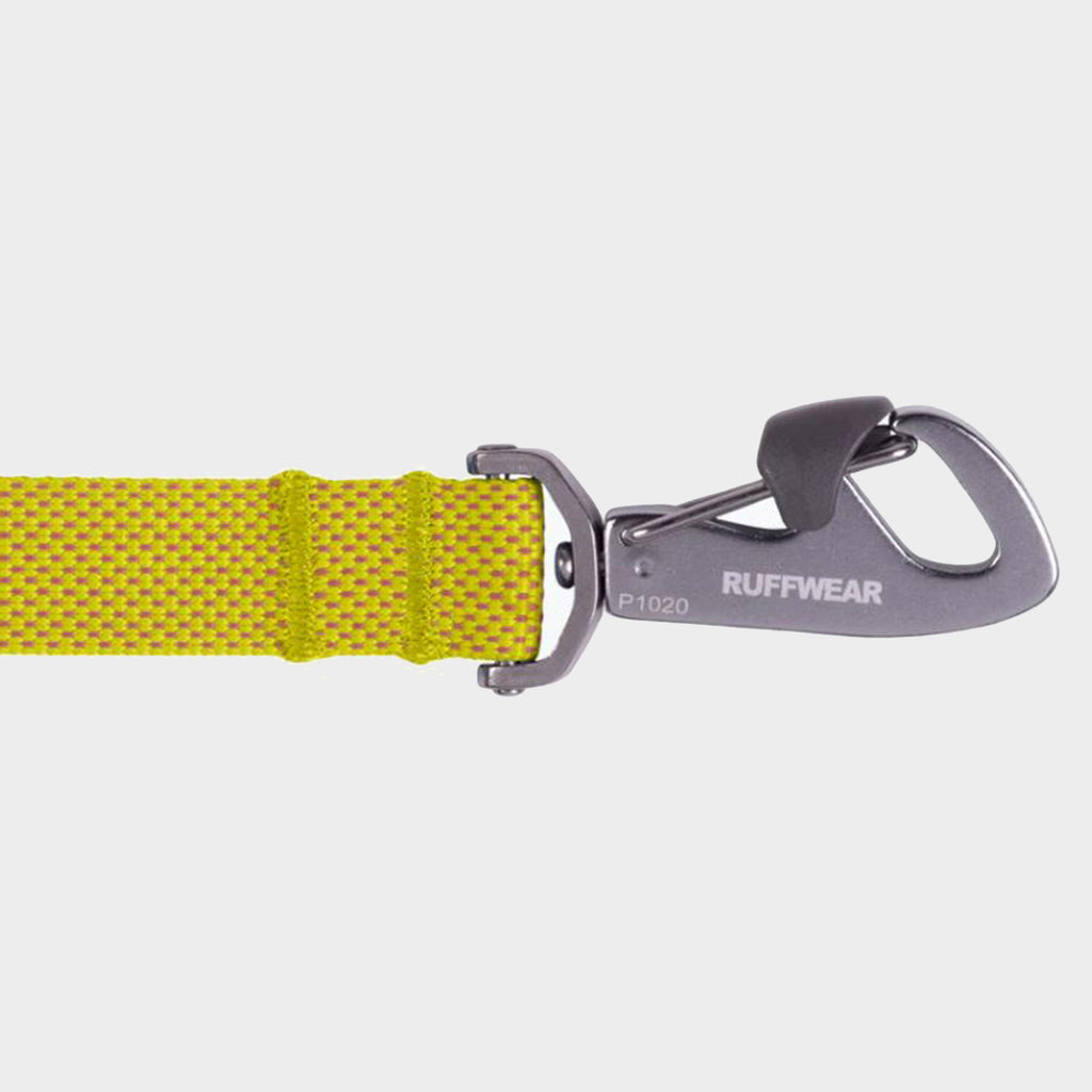 Flagline Dog Lead Lichen Green