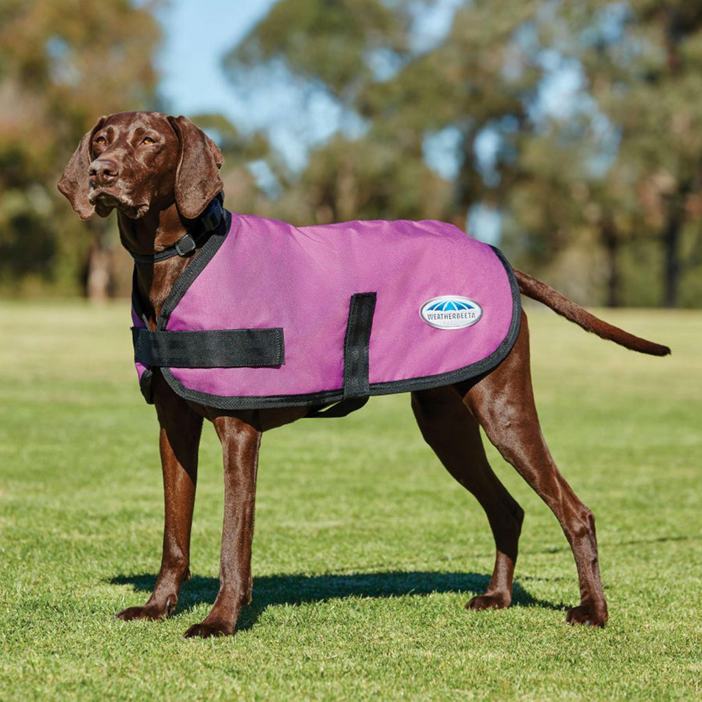 ComFiTec Classic Dog Coat