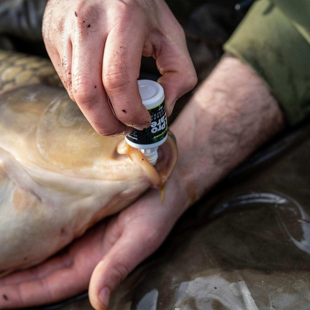 ProCare Fishcare Solution