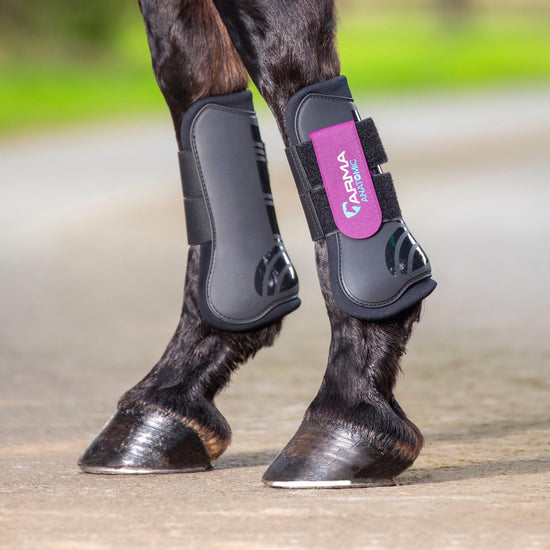 Tendon Boots Teal Pony