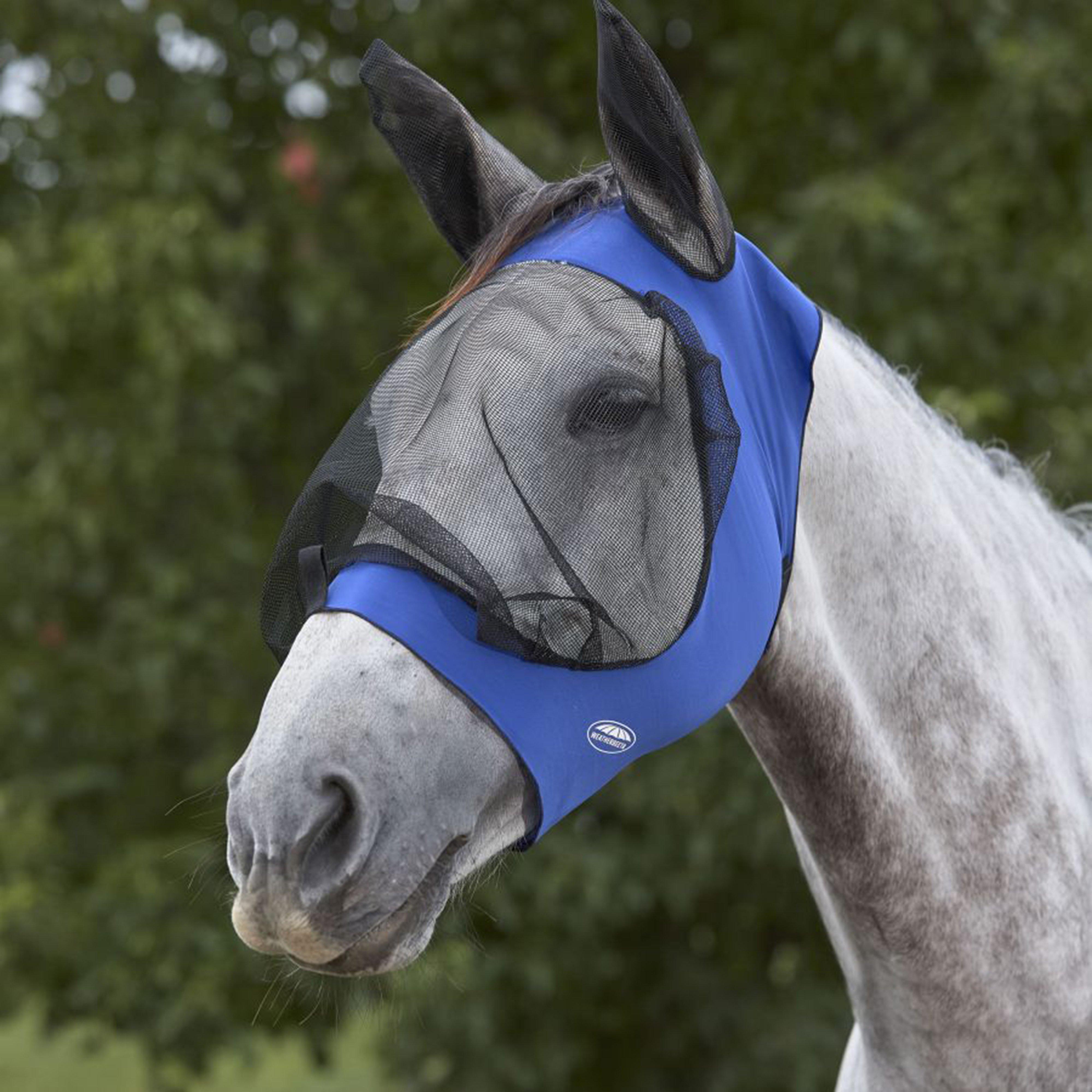 Deluxe Stretch Bug Eye Saver with Ears Royal Blue/Black