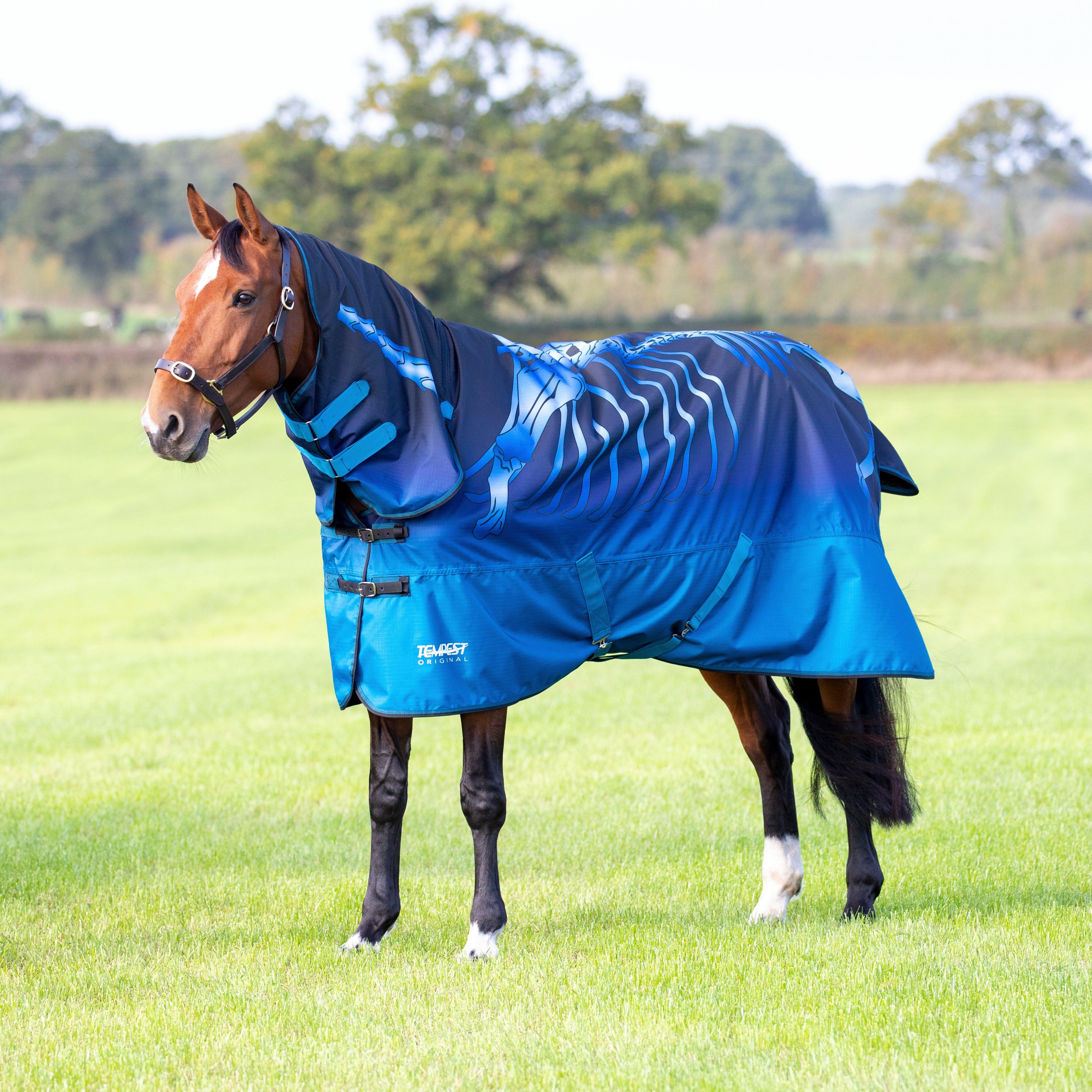 Tempest Original Lite Turnout Combo Rug