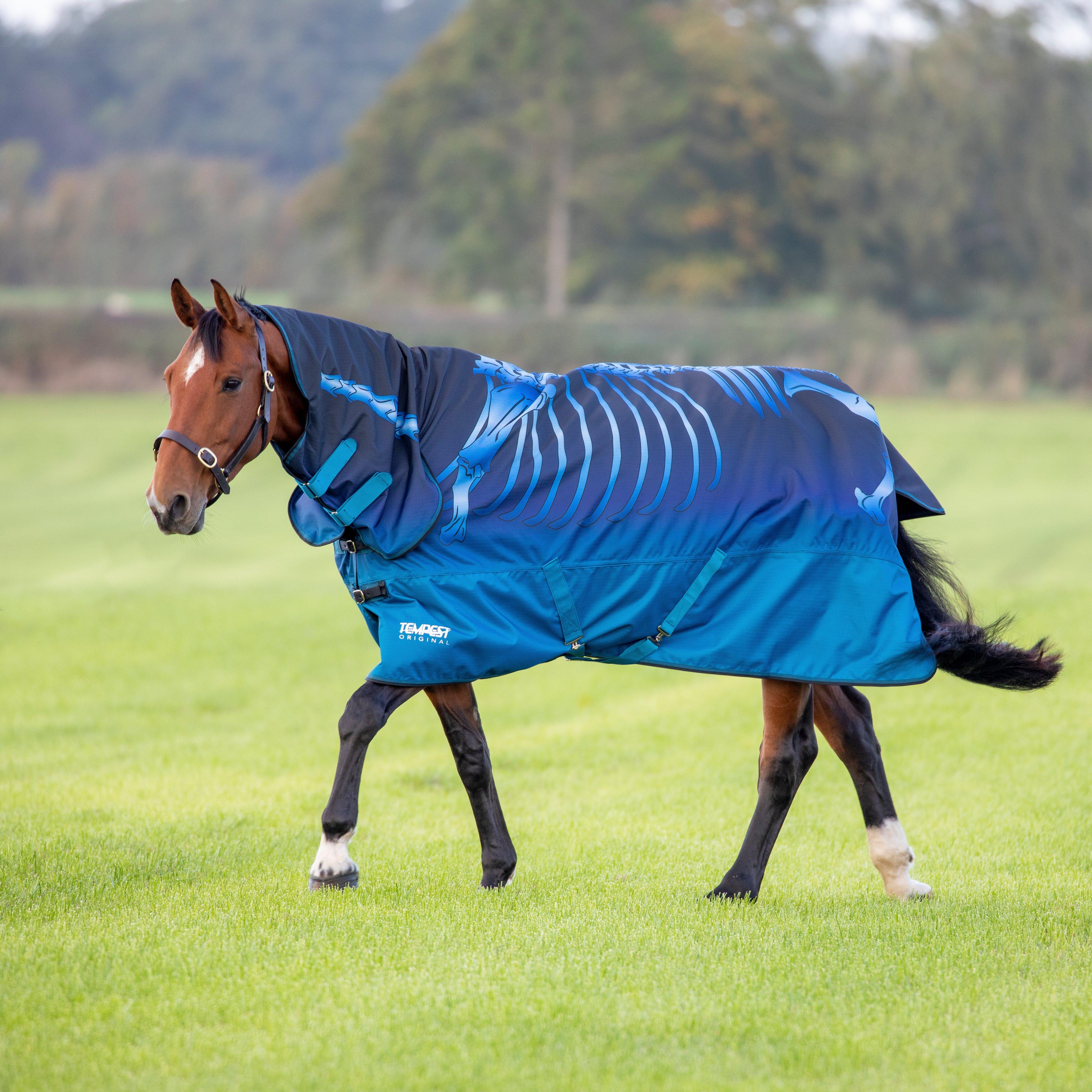 Tempest Original Lite Turnout Combo Rug