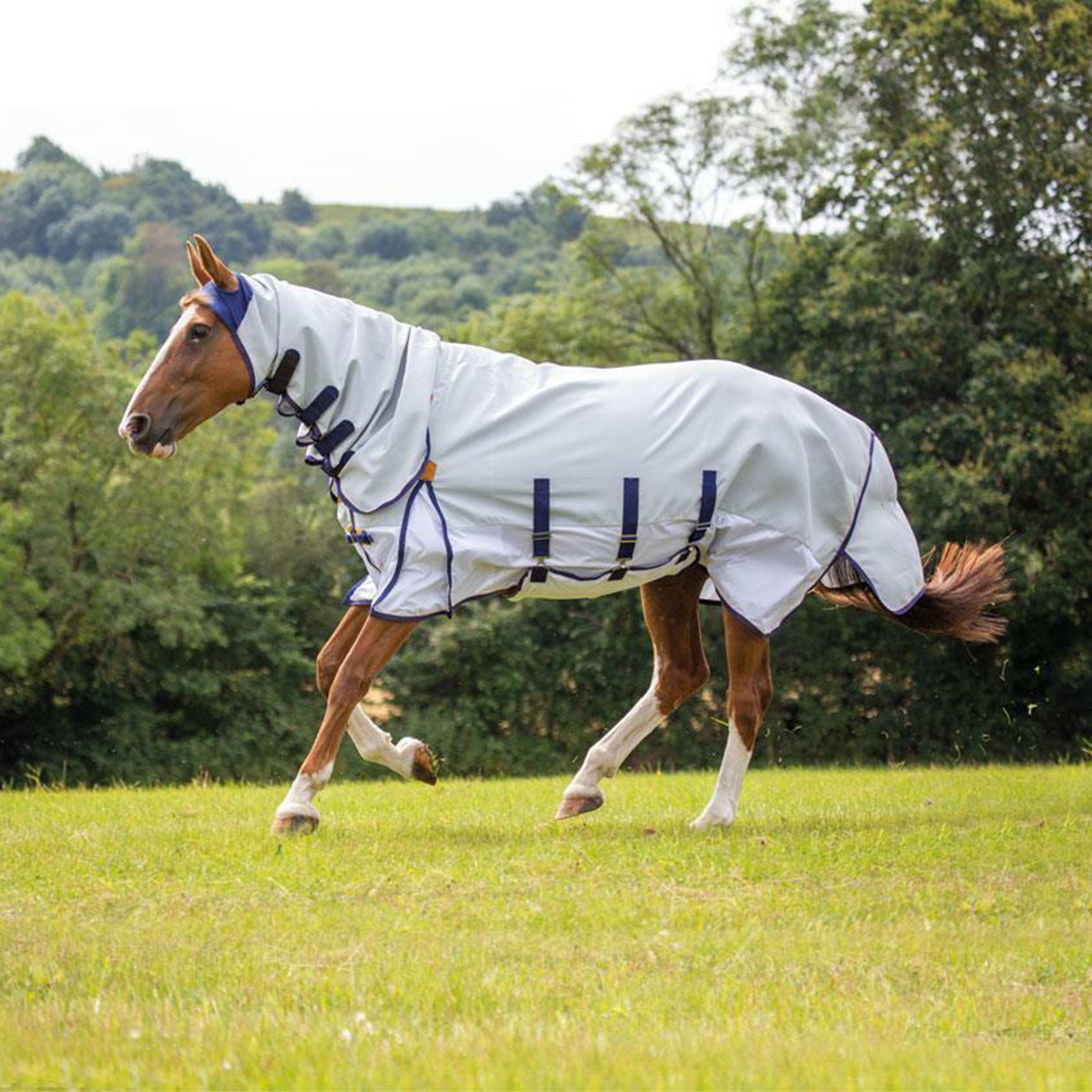 Highlander and Sun Shade Fly Combo Rug