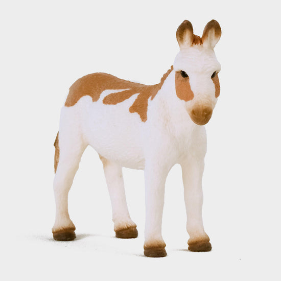 American Spotted Donkey