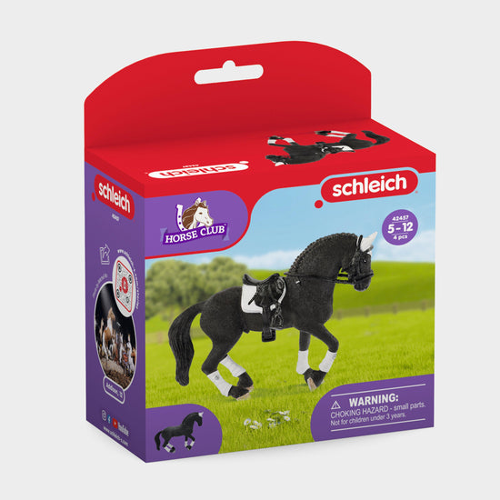 Frisian Stallion Riding Tournament