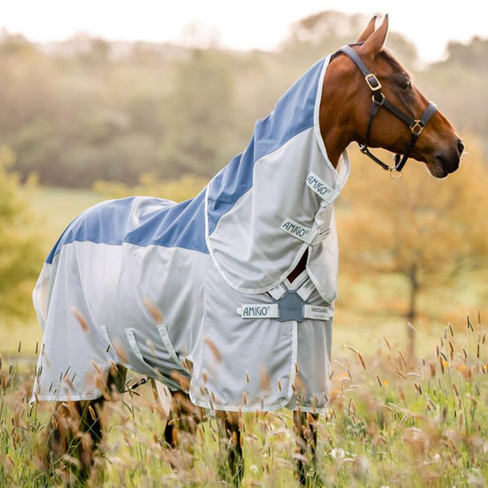 Amigo® AmECO Combi Rug Teal/Grey