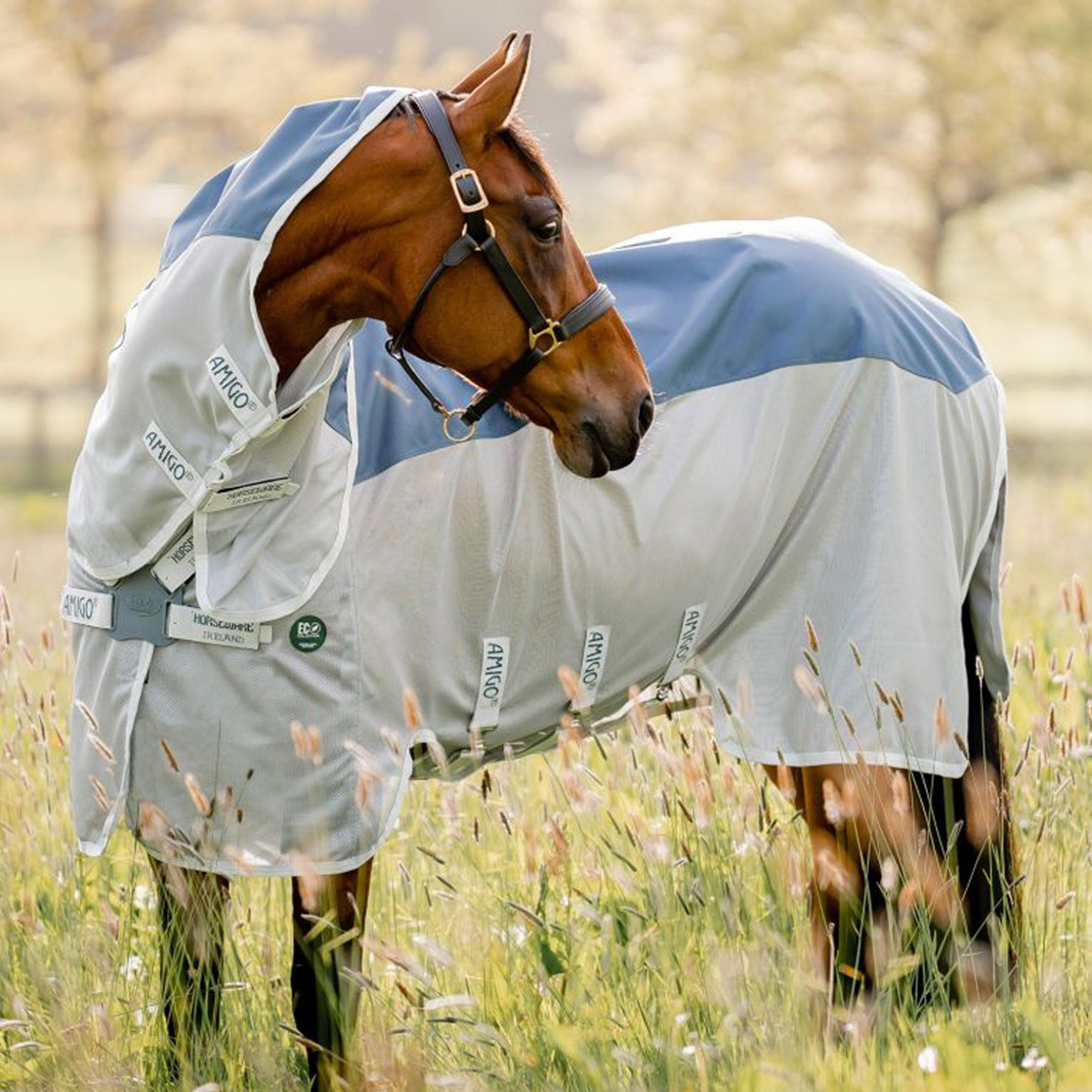 Amigo® AmECO Combi Rug Teal/Grey