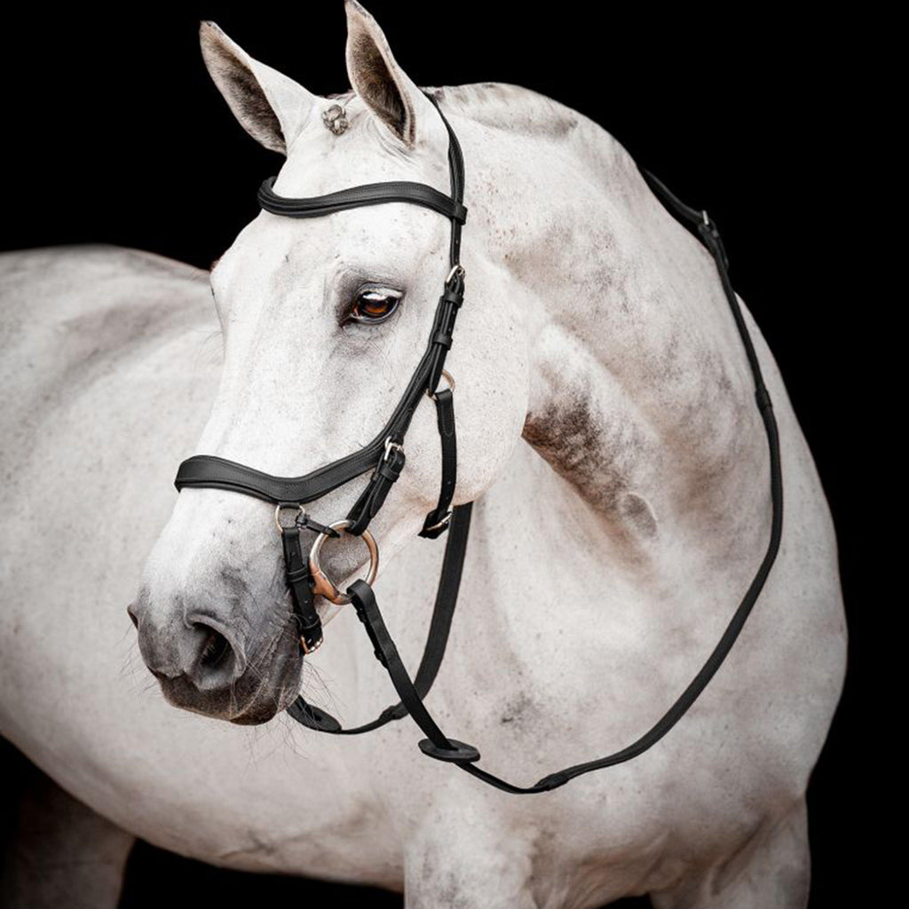 Micklem® 2 Competition Bridle