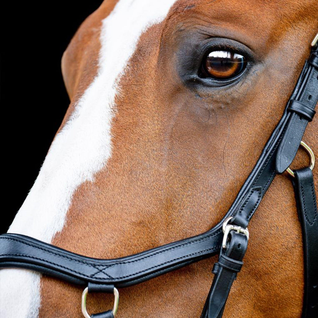 Micklem® 2 Competition Bridle