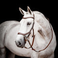 Micklem® 2 Competition Bridle