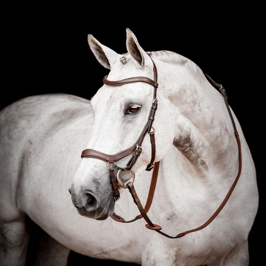 Micklem® 2 Competition Bridle