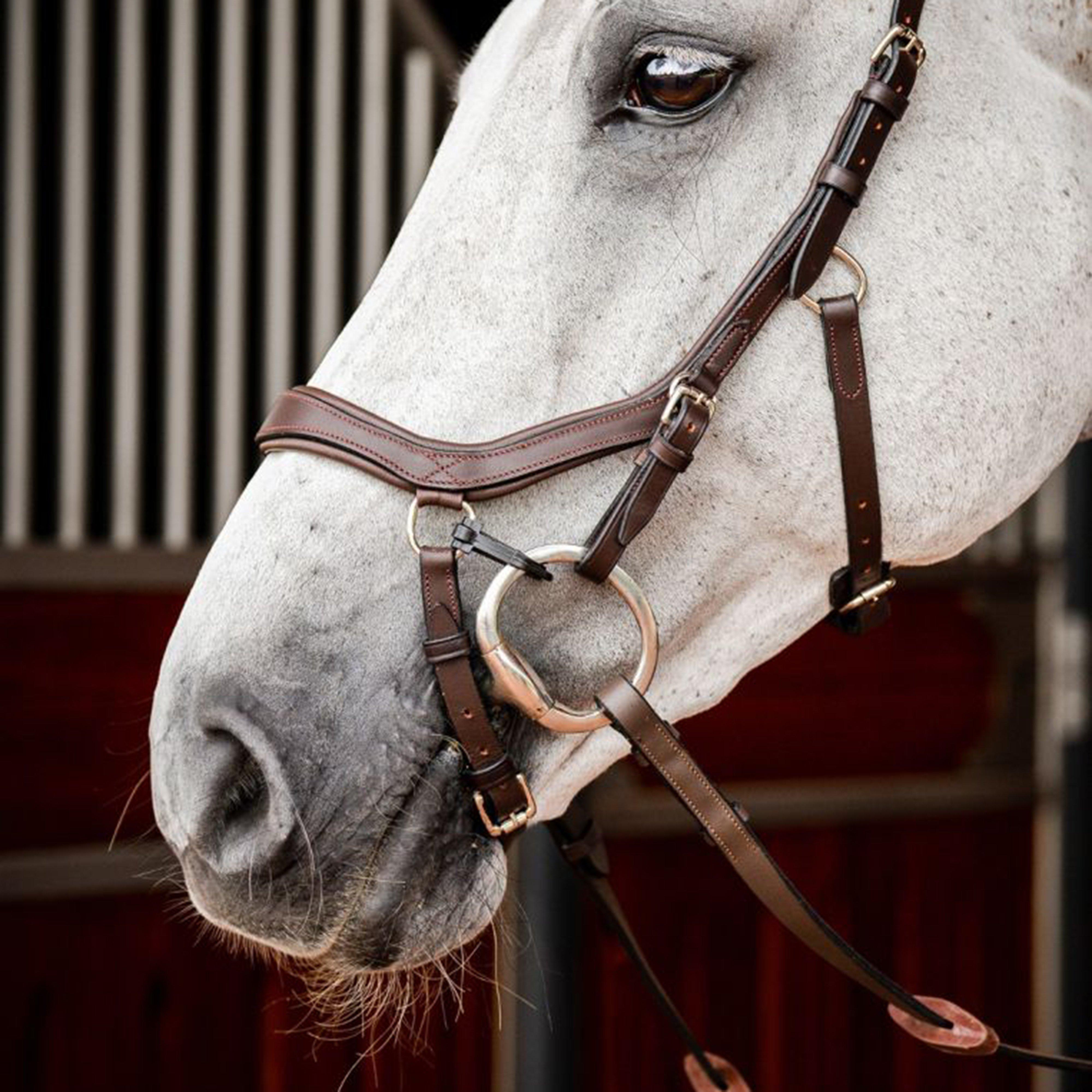 Micklem® 2 Competition Bridle