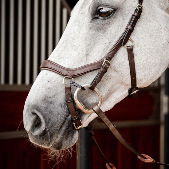Micklem® 2 Competition Bridle
