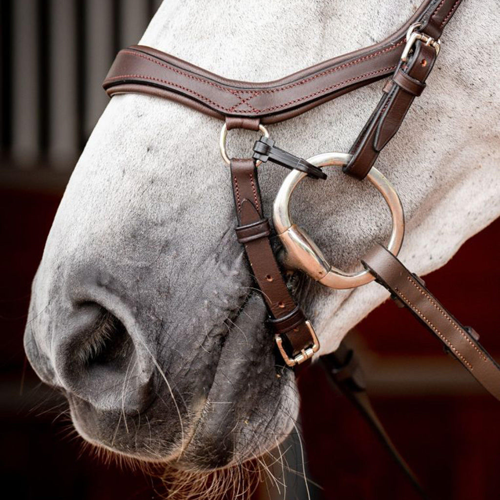 Micklem® 2 Competition Bridle