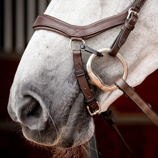 Micklem® 2 Competition Bridle