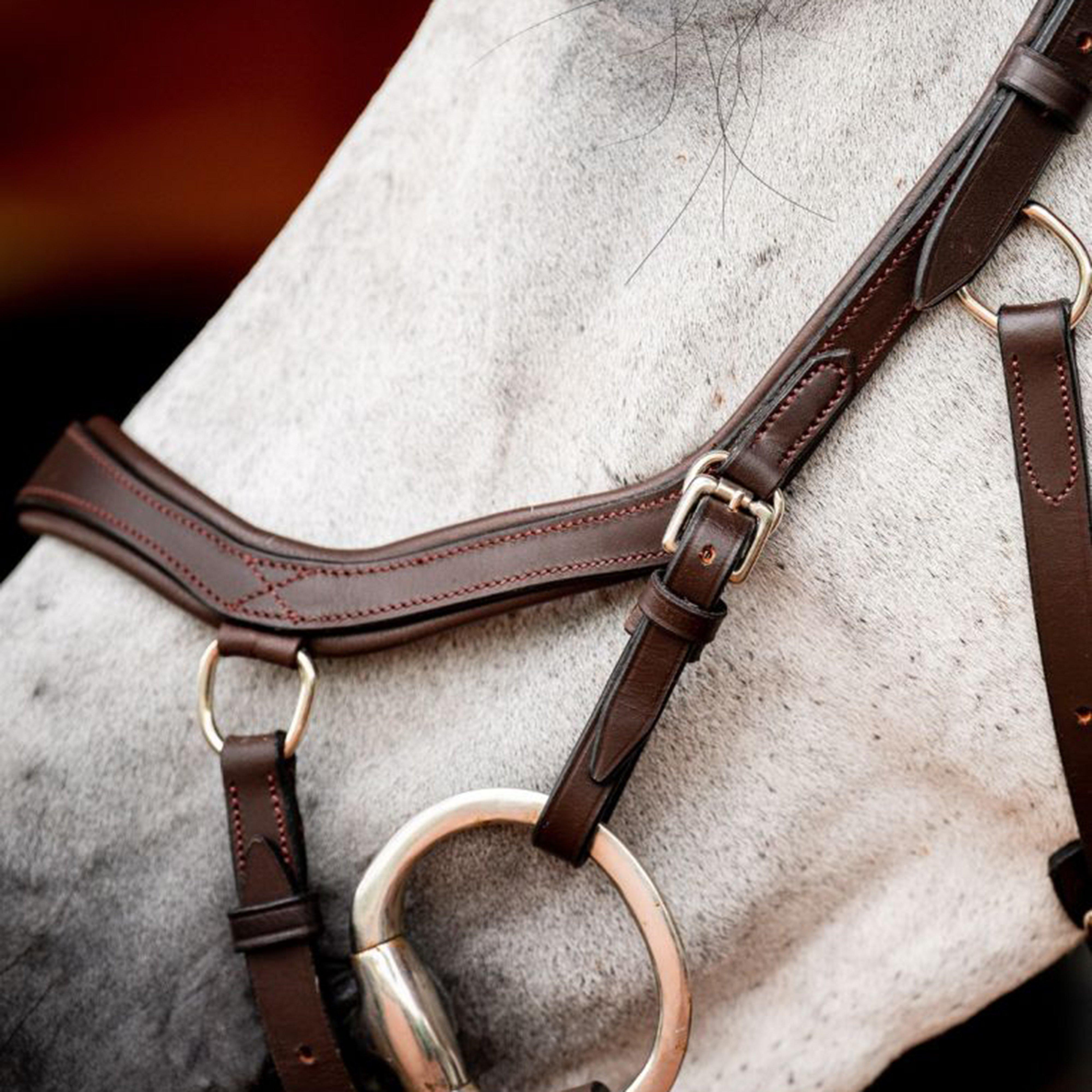 Micklem® 2 Competition Bridle