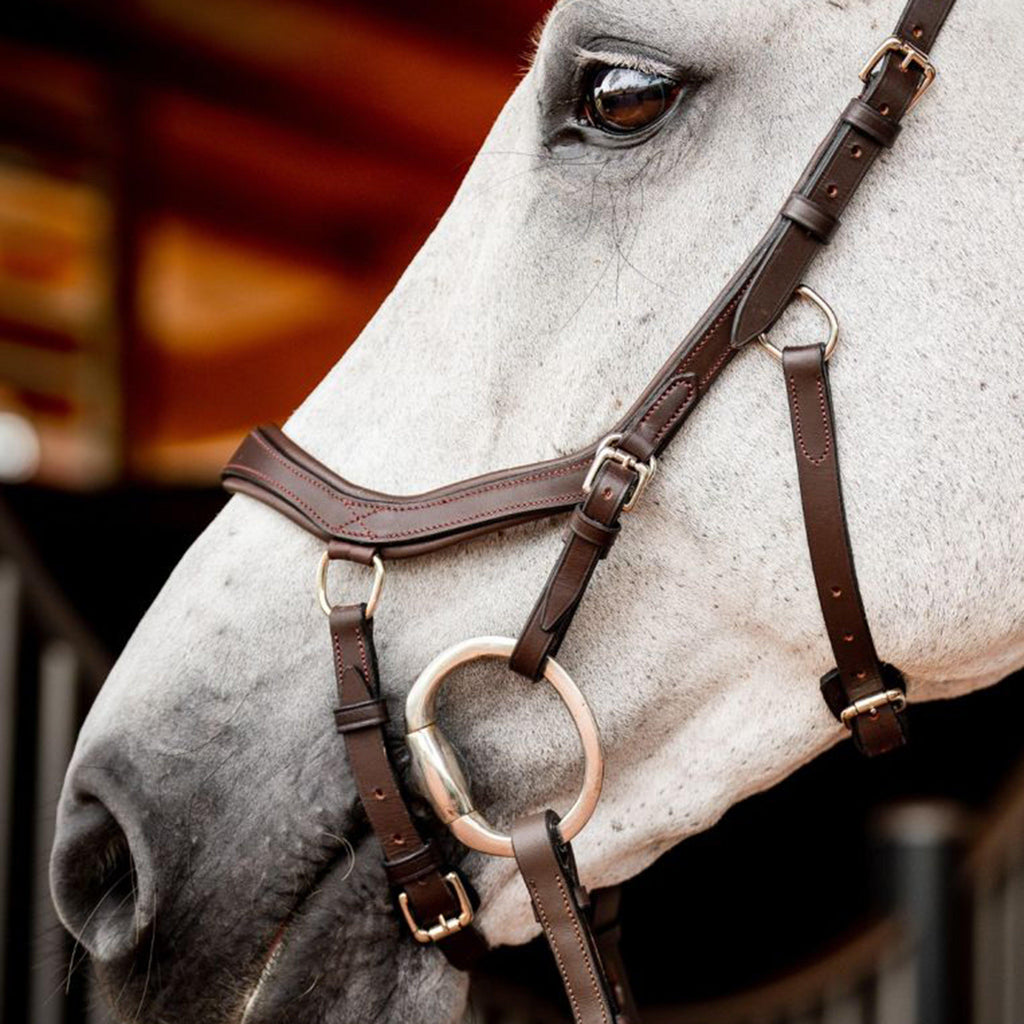 Micklem® 2 Competition Bridle