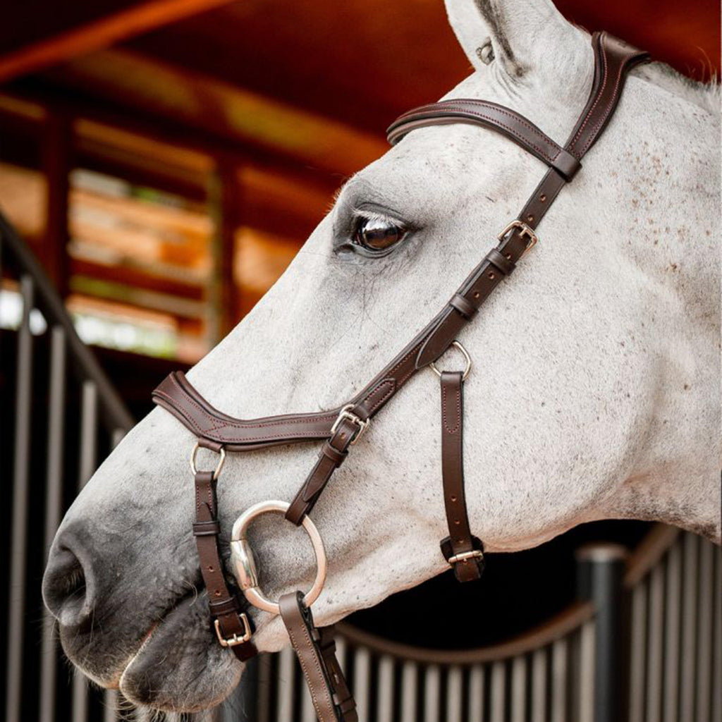 Micklem® 2 Competition Bridle