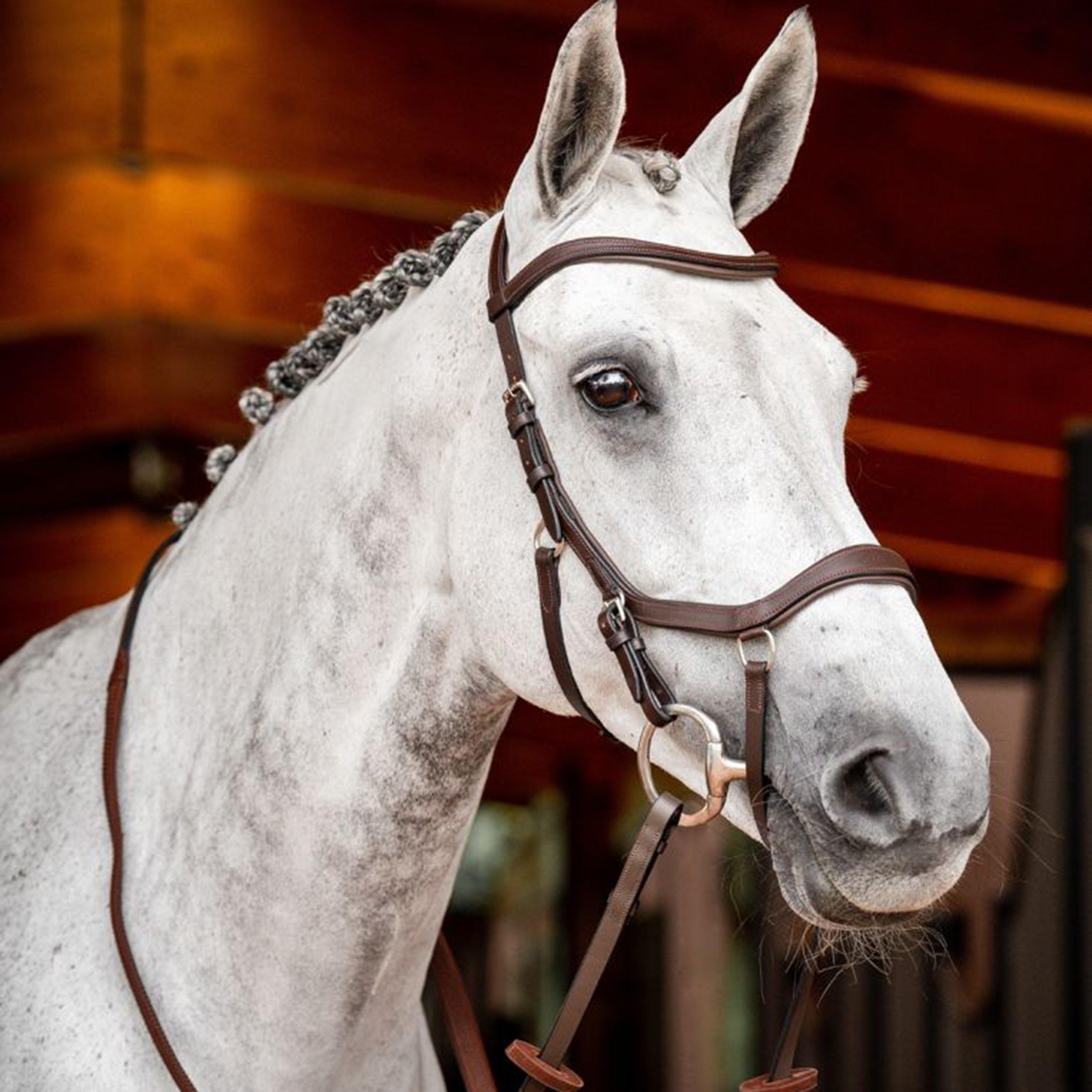 Micklem® 2 Competition Bridle