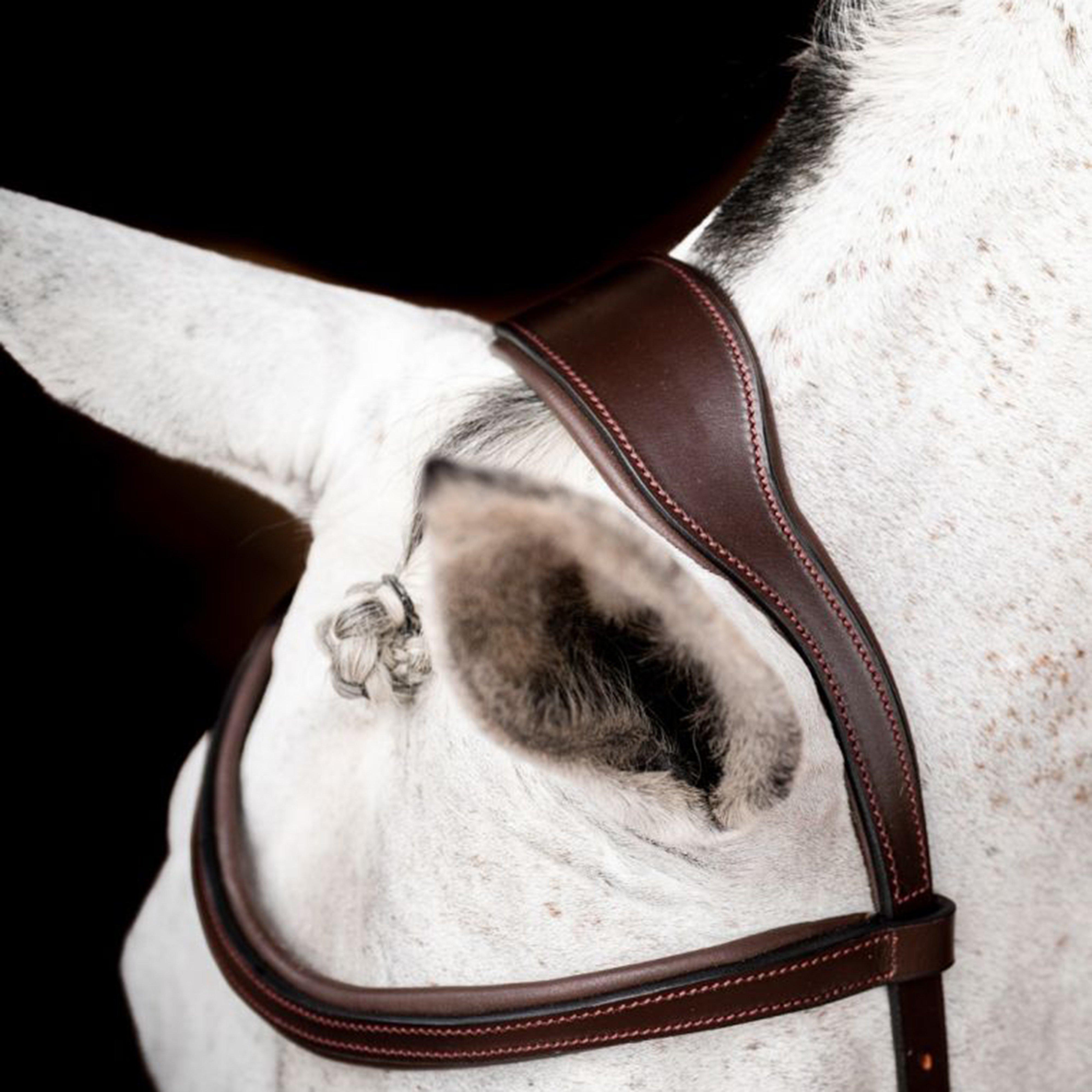 Micklem® 2 Competition Bridle