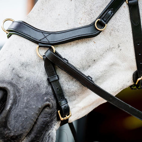 Micklem® 2 Multi Bridle Black