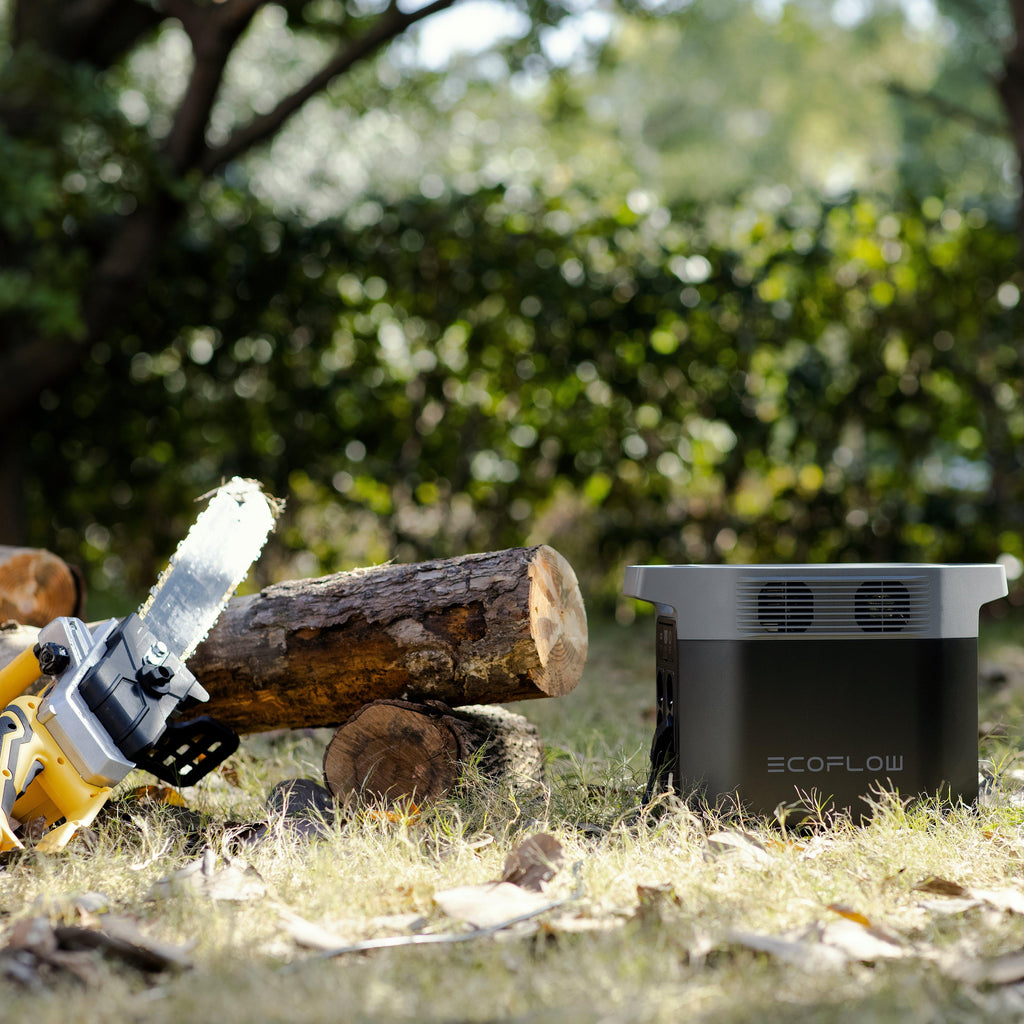 DELTA 2 PORTABLE Power Station