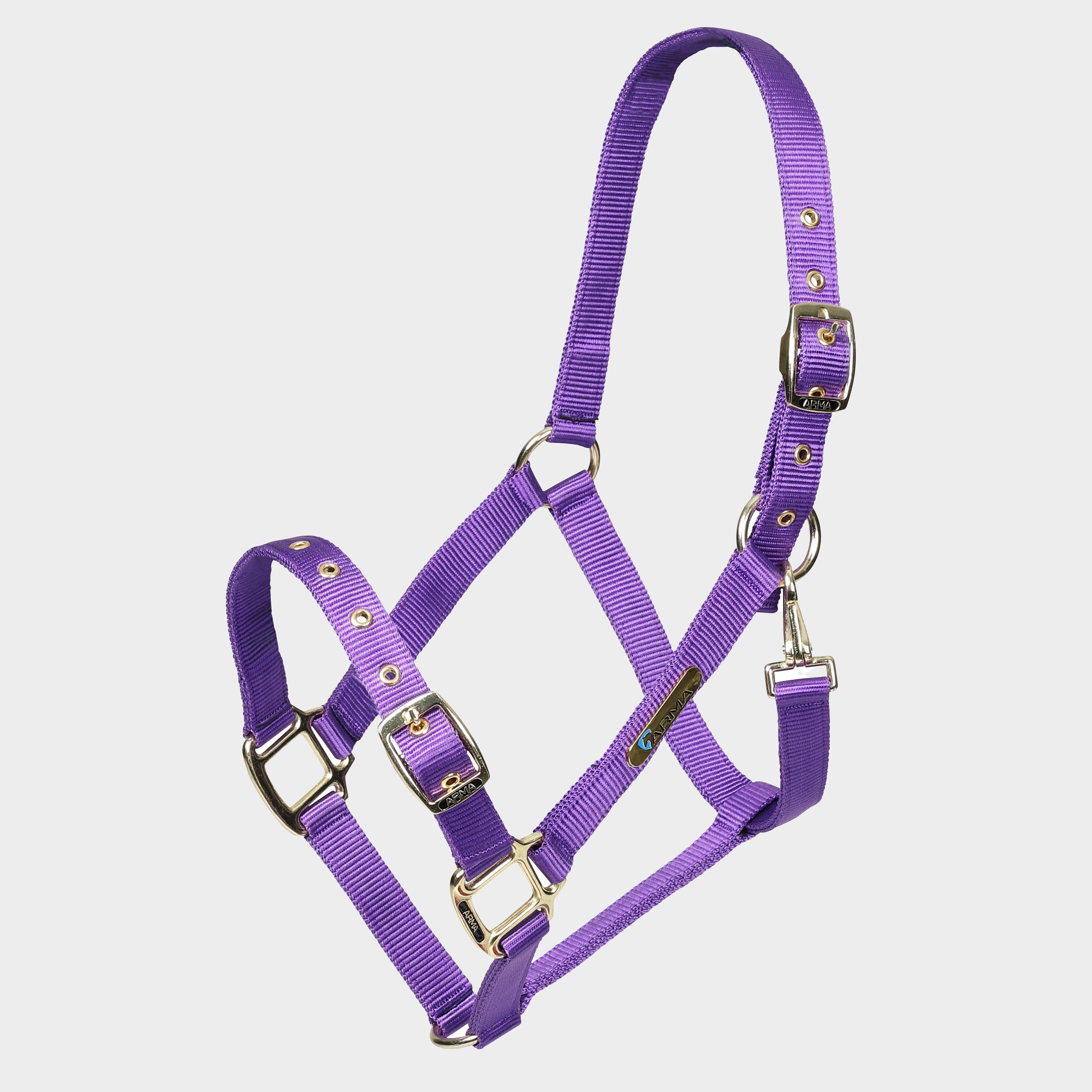 Adjustable Headcollar Purple