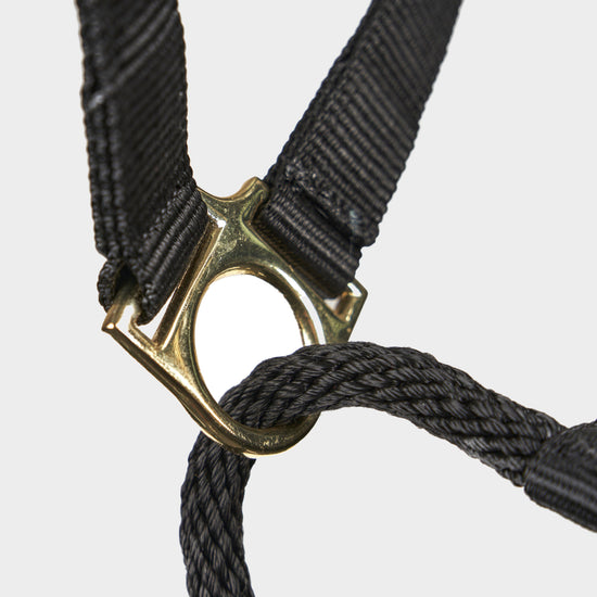 Control Headcollar Black