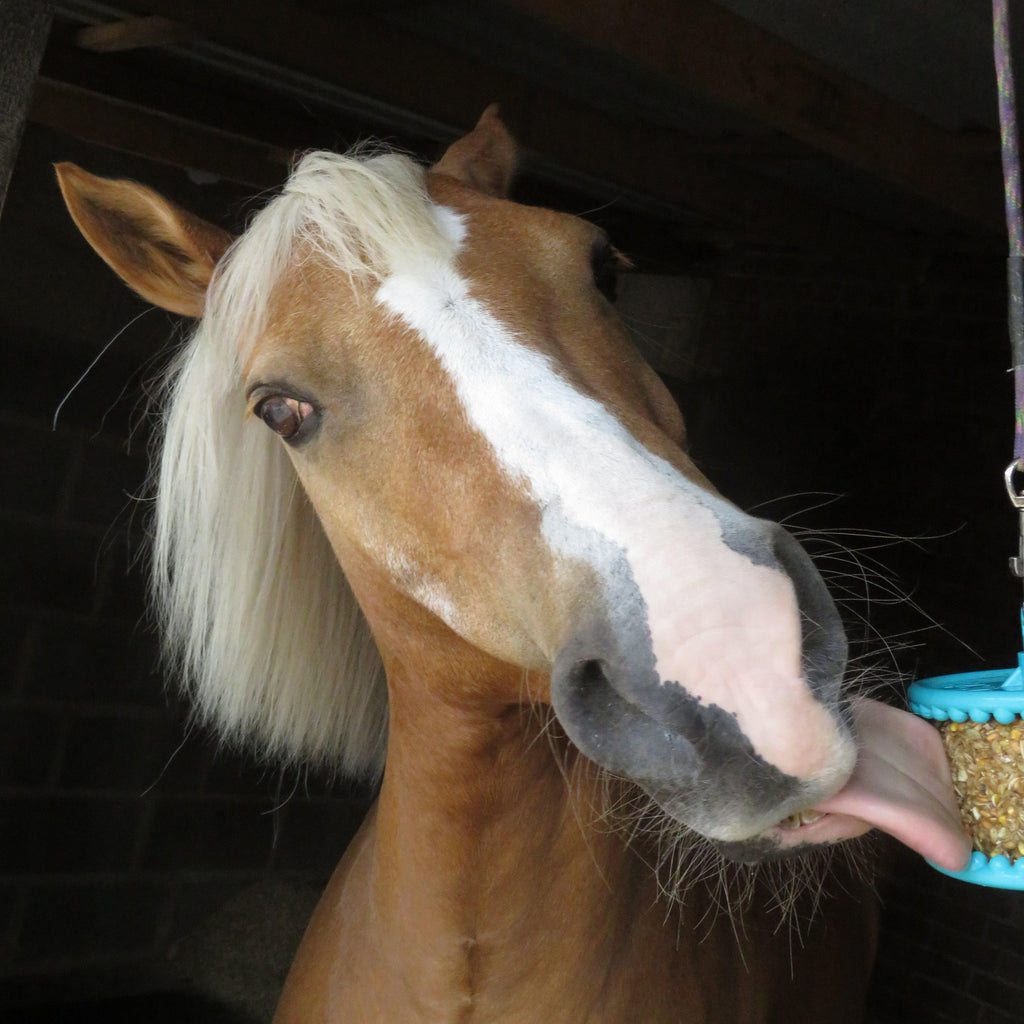 Granola Peppermint 550g