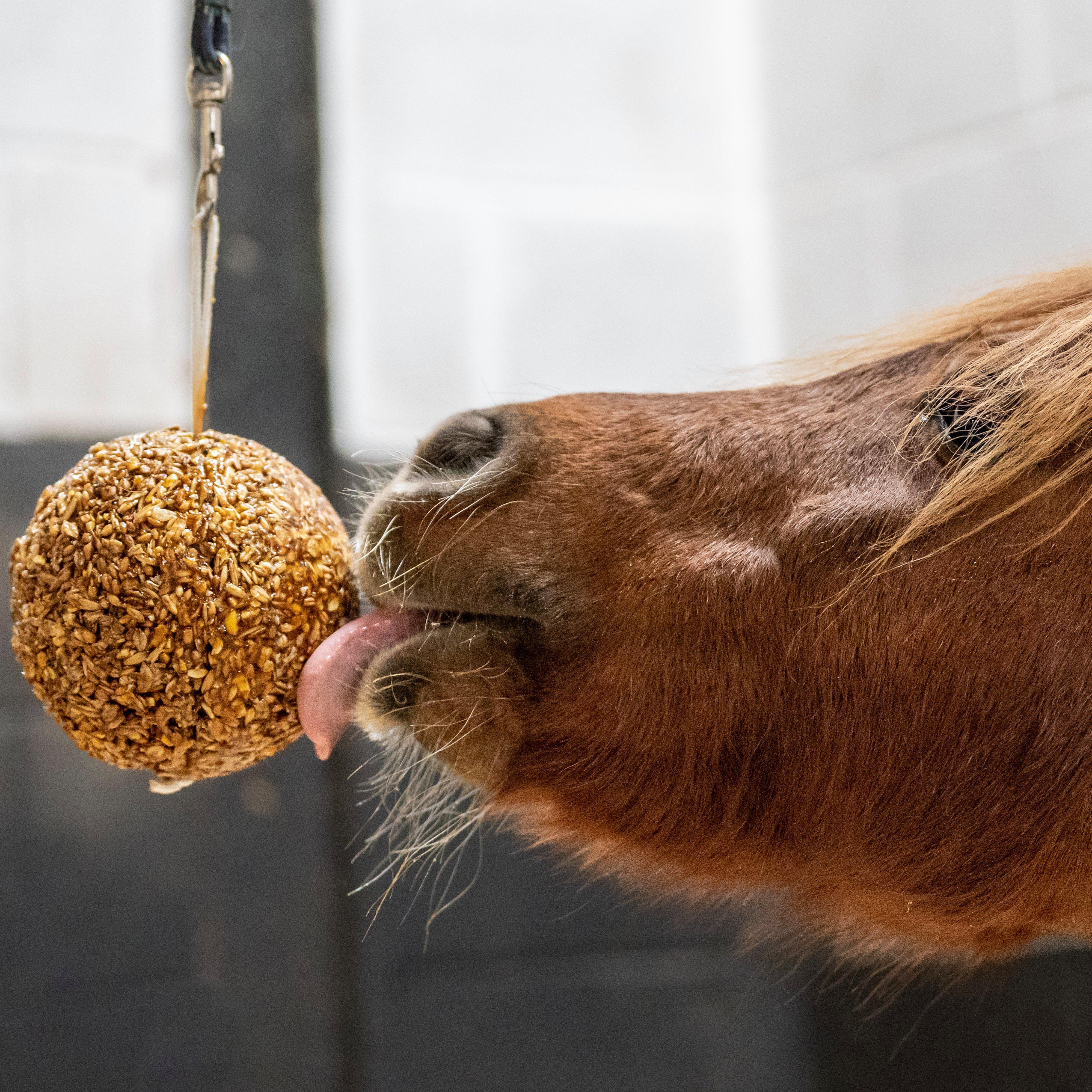 Granola Stall-Ball Apple 1.6KG