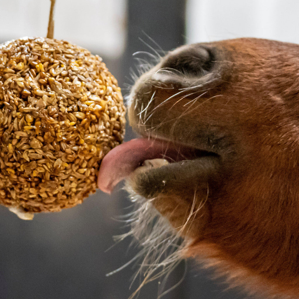 Granola Stall-Ball Apple 1.6KG