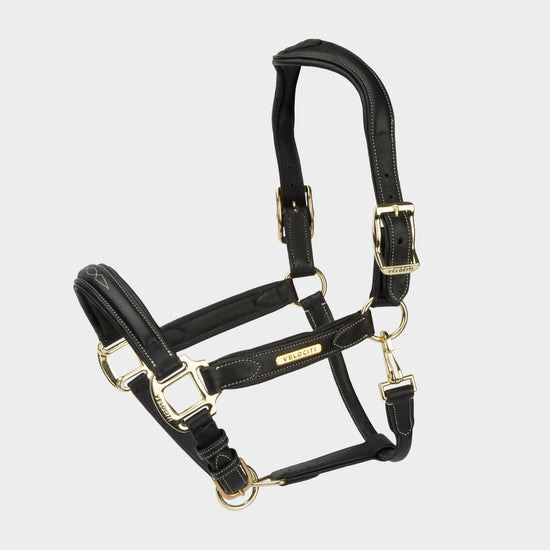 Rapida Comfort Leather Headcollar