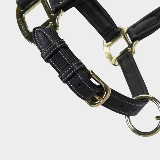 Rapida Comfort Leather Headcollar