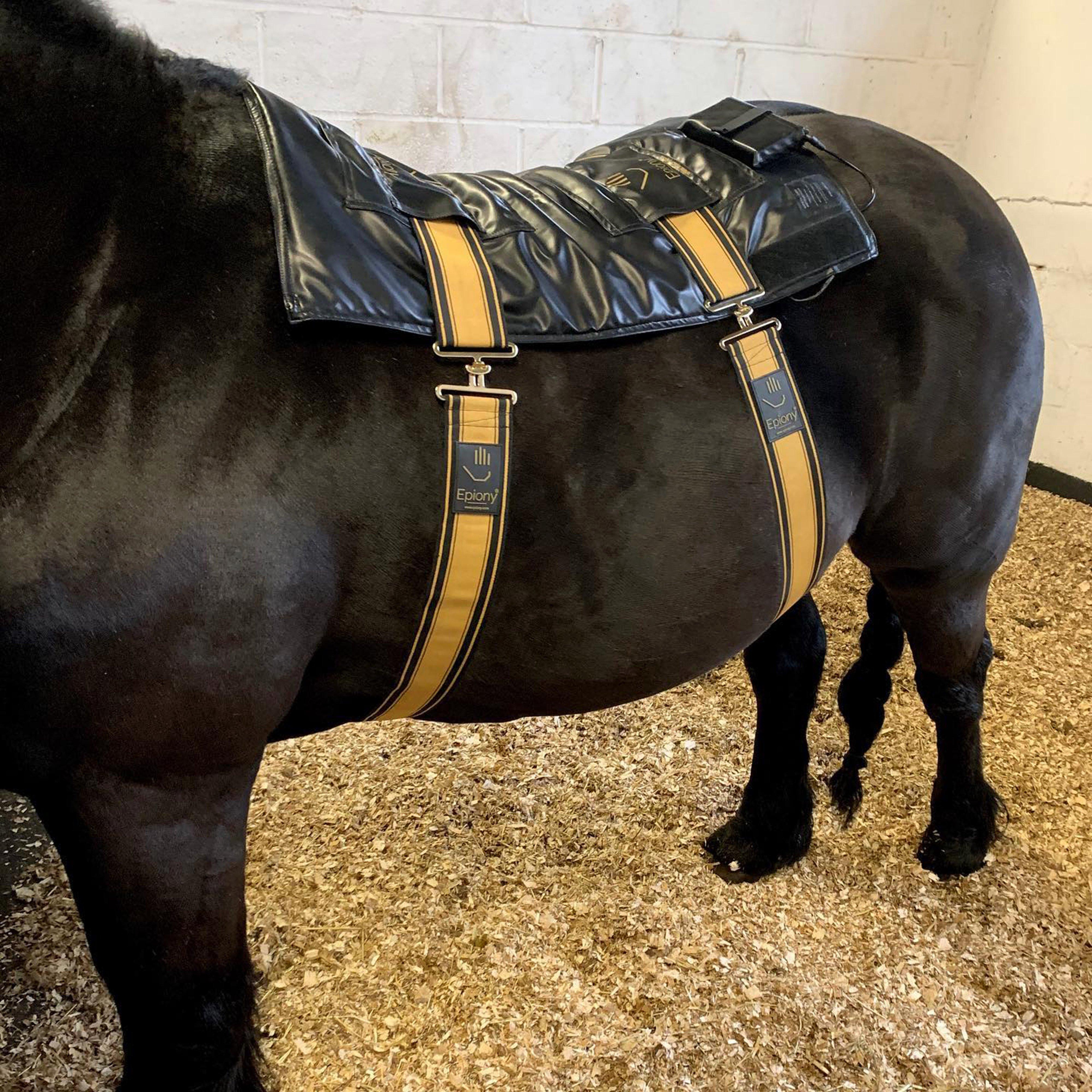 Heat Pad Plus